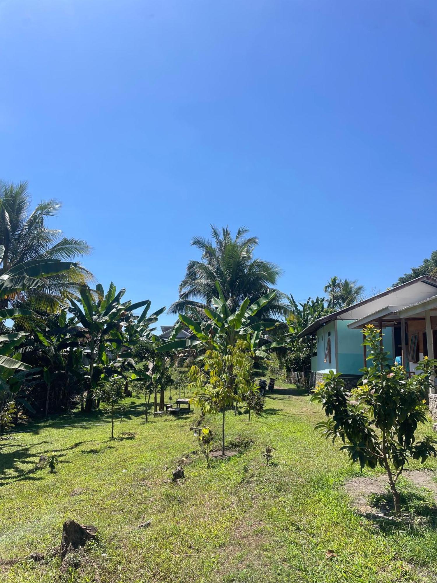 Senaru Garden Homestay Kültér fotó